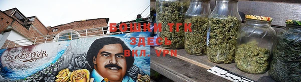 ALPHA PVP Елизово