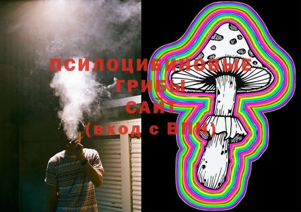 ECSTASY Протвино