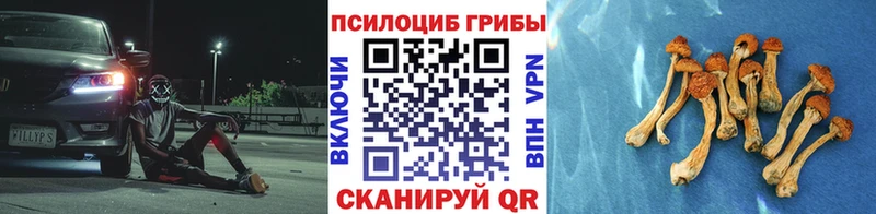 Галлюциногенные грибы мухоморы где купить наркотик Спасск-Дальний