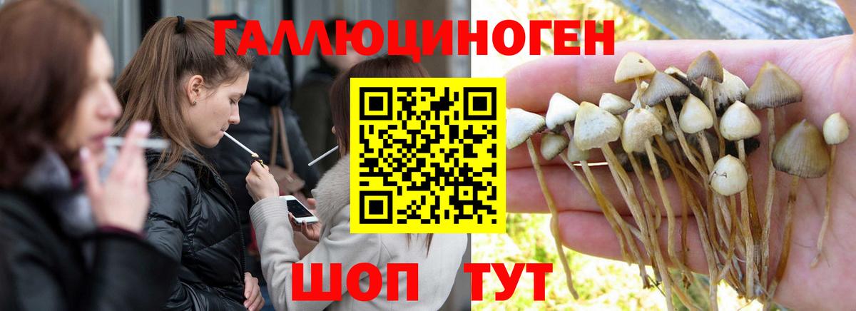Галлюциногенные грибы мухоморы Спасск-Дальний