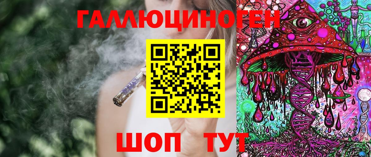 Псилоцибиновые грибы Psilocybe  Спасск-Дальний 